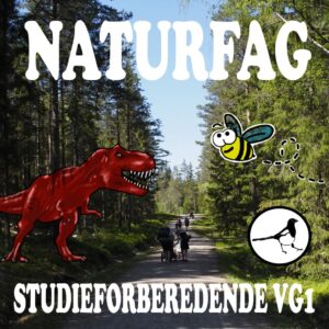 Nettkurs – Naturfag SF