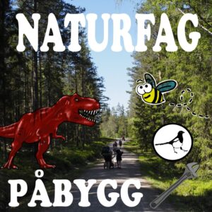 Naturfag Påbygg