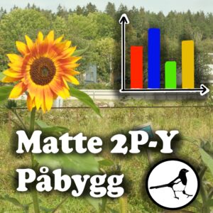 Matematikk – 2P-Y Påbygning